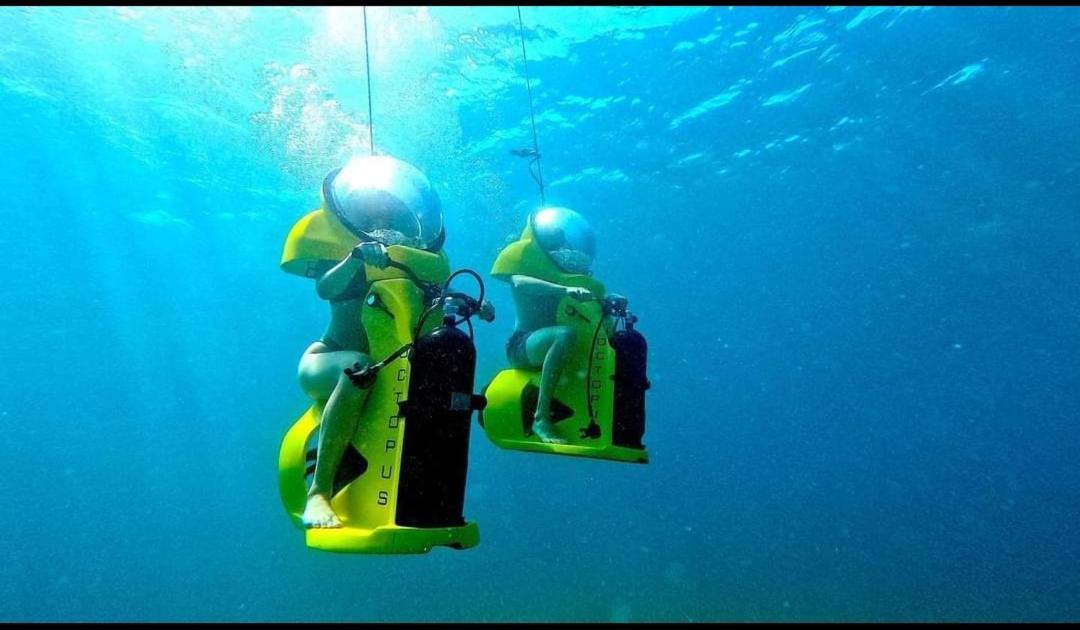 Ellmar Leilighet Medulin Eksteriør bilde